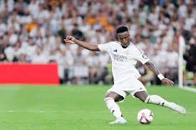 手职业生涯 手职业生涯